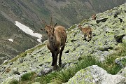 42 Uno si avvicina, osservato da un secondo